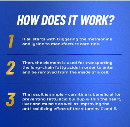 RC L-CARNITINE 3000 Mg 450 ML MANGO PINEAPPLE