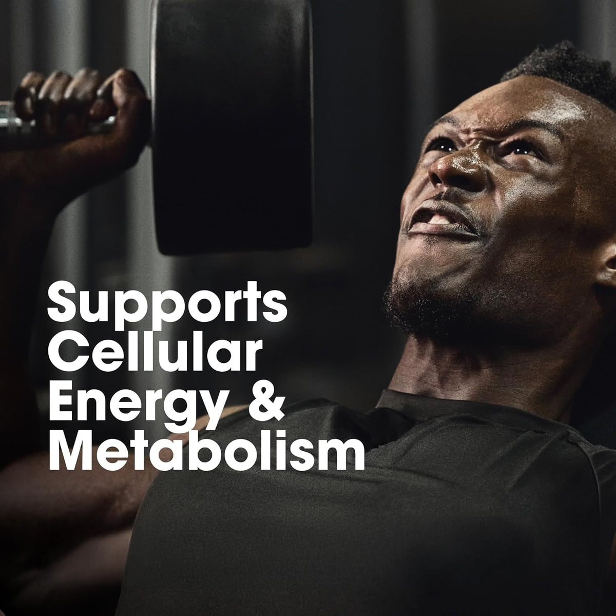 OPTIMUM NUTRITION-MULTIVITAMIN-60 TAB