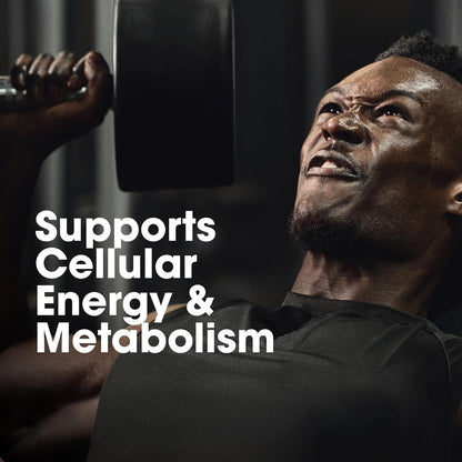 OPTIMUM NUTRITION-MULTIVITAMIN-60 TAB