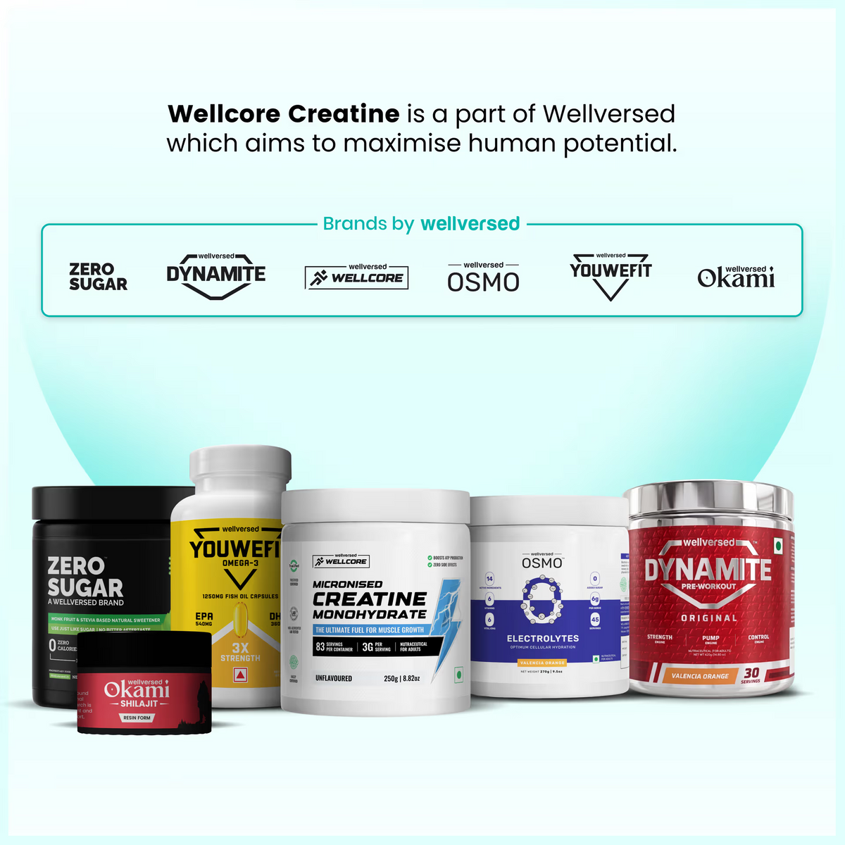 WELLVERSED-CREATINE MONOHYDRATE -TROPICAL TANGO-122GM