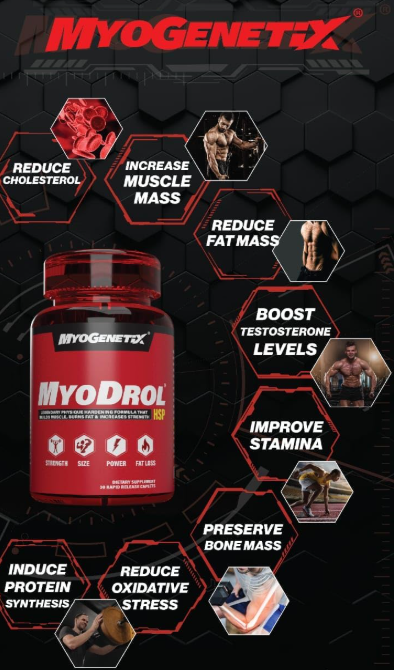 MYOGENETIX Myodrol-HSP – Premium Natural Muscle Builder | Original HSP-90 Activated Formula for Lean Muscle Growth, Strength & Recovery |Trusted by Athletes & Bodybuilders | count, 60 capsules